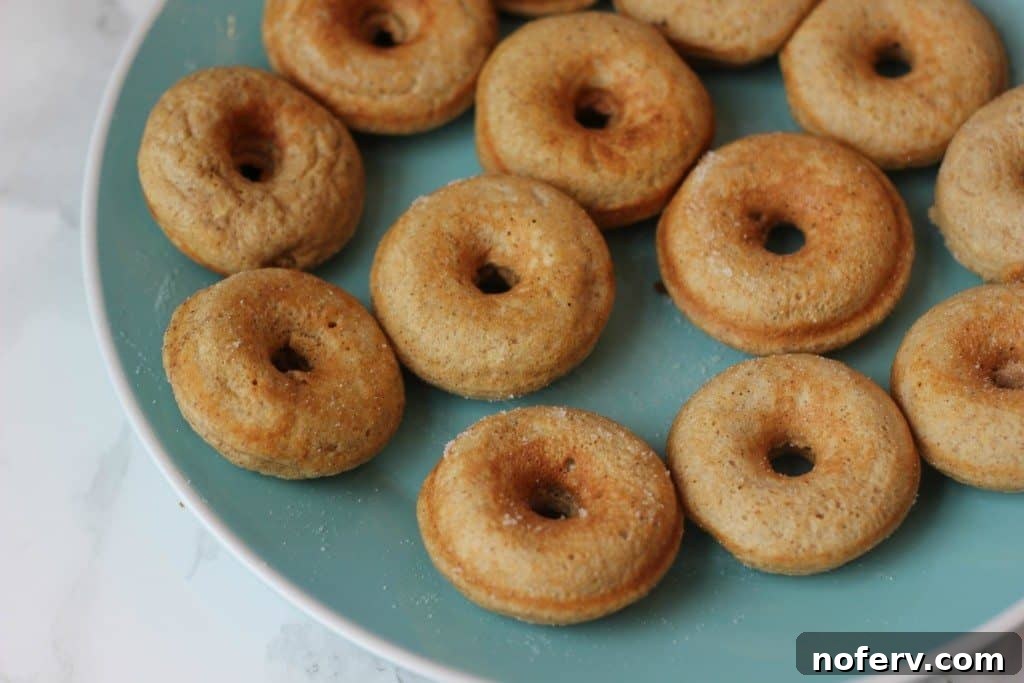 healthy protein donuts recipe