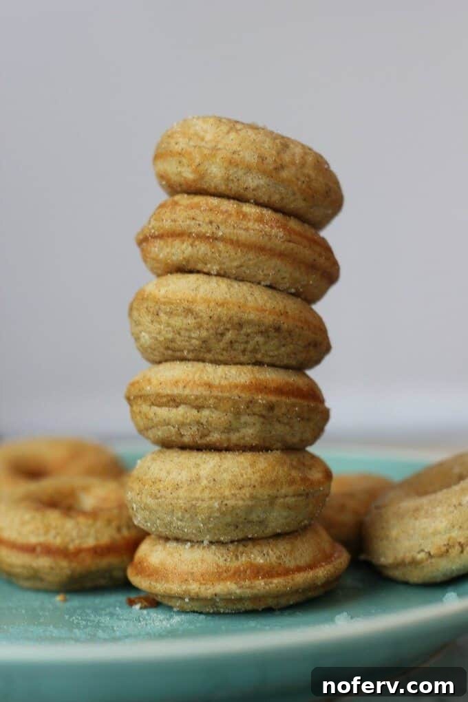 healthy protein donuts recipe