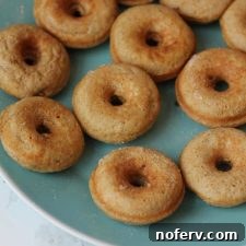 Mini Protein Donuts