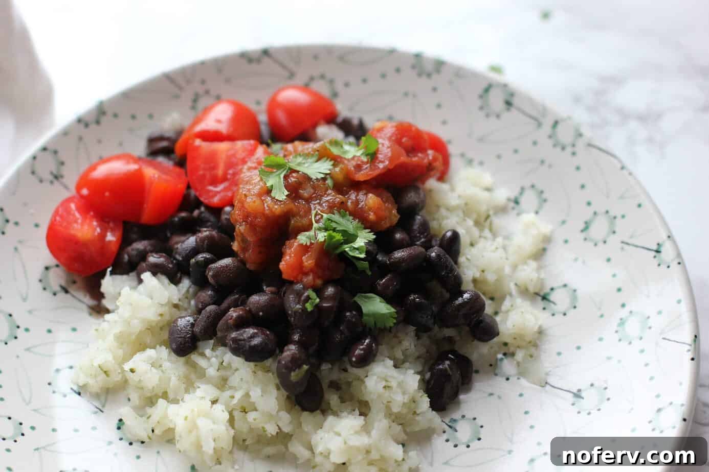 rice beans and salsa