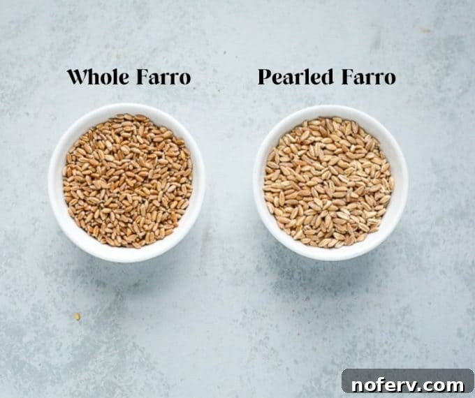 Three different types of farro grains displayed side-by-side to show variations.