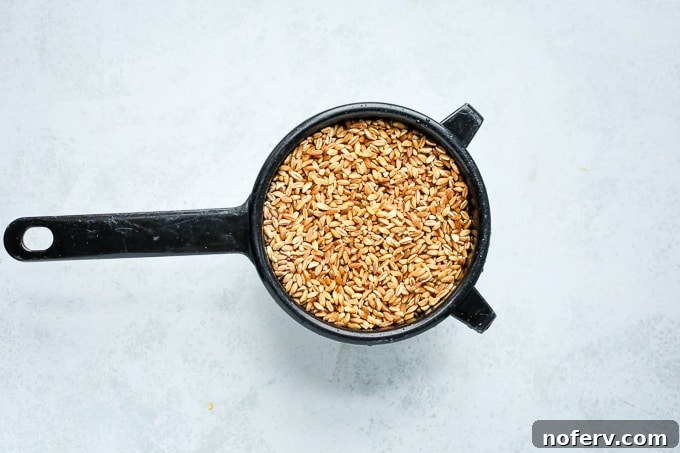 Farro grains being rinsed in a fine-mesh strainer before cooking.
