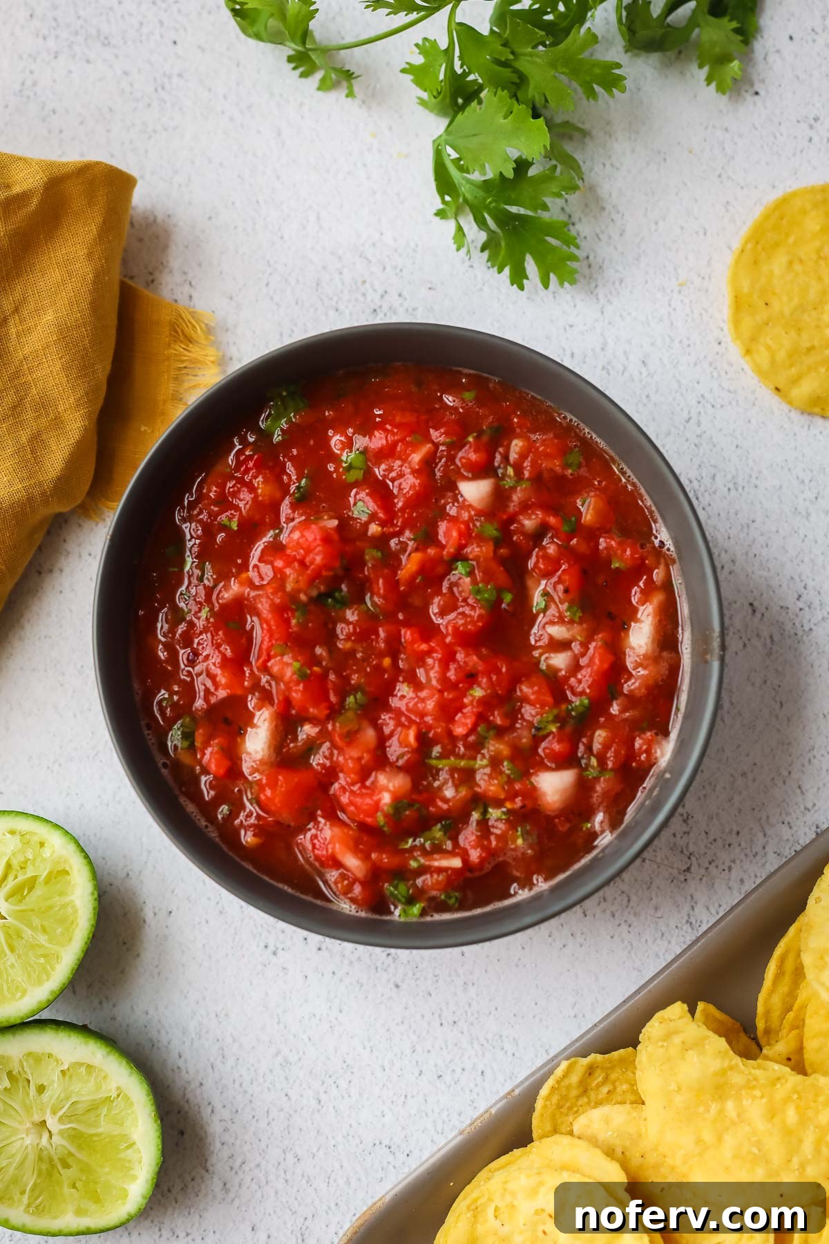 Blender Salsa