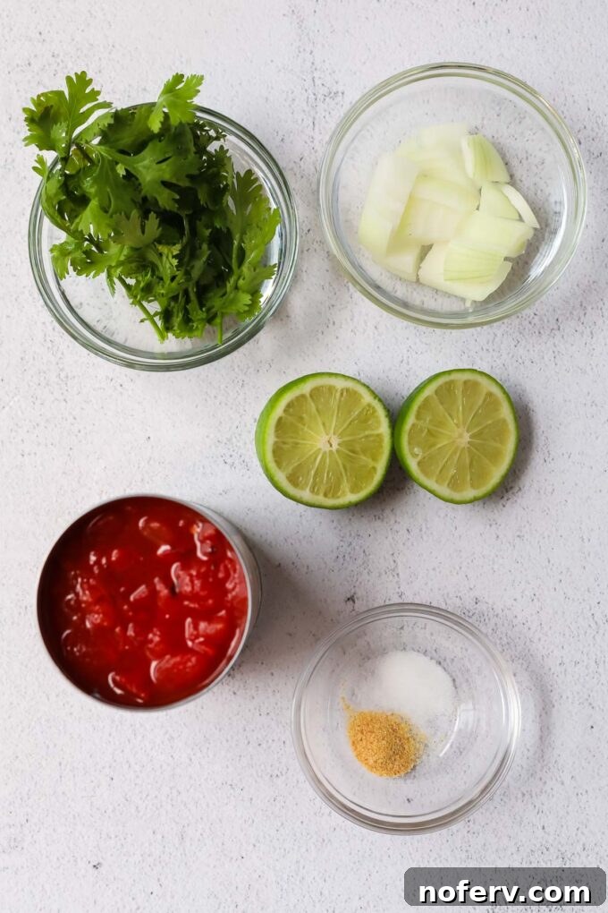 Blender Salsa ingredients