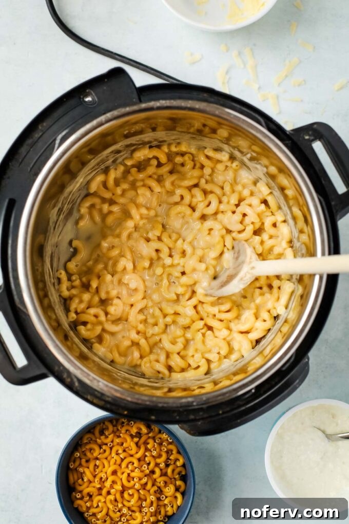 Instant Pot Cottage Cheese Mac and Cheese Recipe 2 img 126499 1