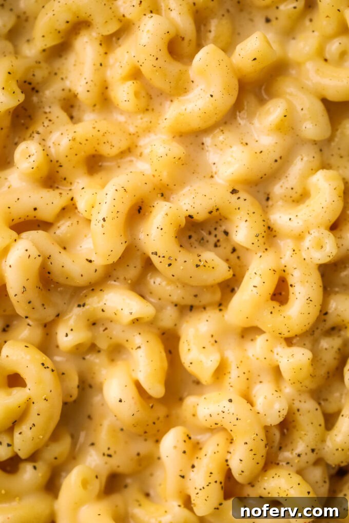Instant Pot Cottage Cheese Mac and Cheese Recipe 3 img 126499 2