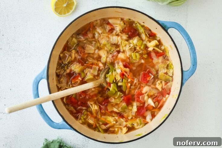 Image for Vegan Cabbage Soup
