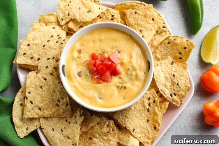 vegan queso