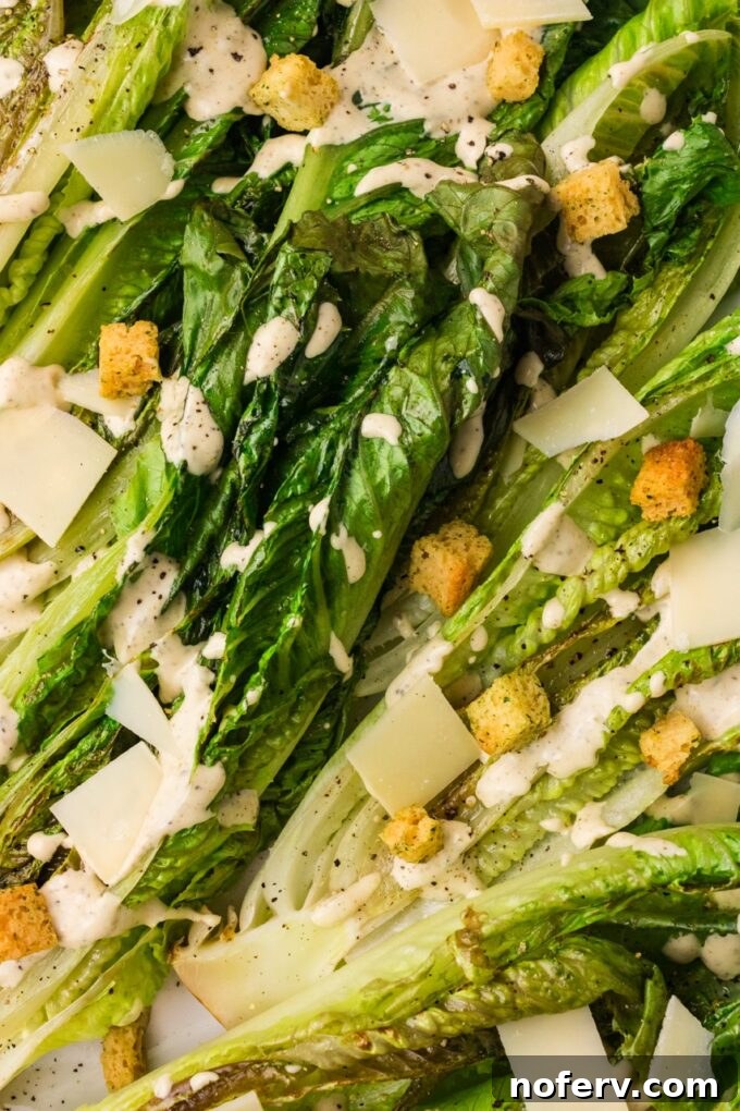 grilled romaine caesar