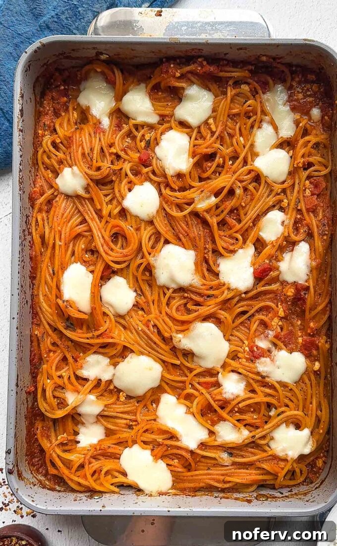 Baked Spaghetti Ready in 5 Minutes 9 Cheese melted on baked spaghetti