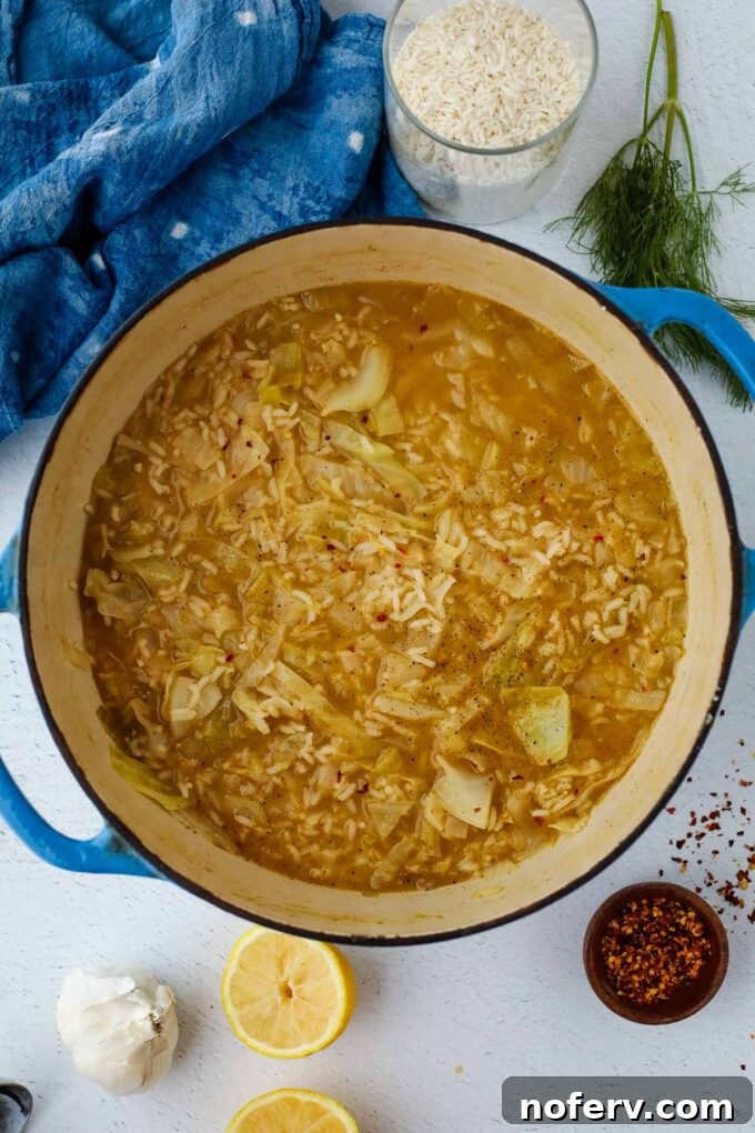 Hearty Cabbage and Rice Soup Recipe 5 Finished cabbage and rice soup