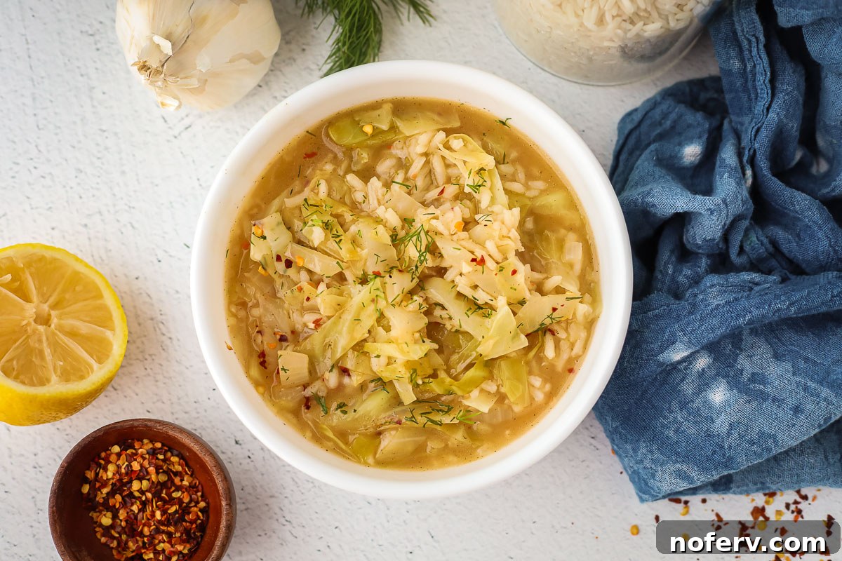 Hearty Cabbage and Rice Soup Recipe 6 Serving bowl of cabbage and rice soup garnished with dill