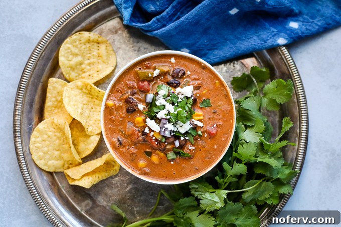 Vegetarian Enchilada Soup