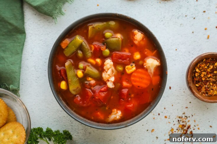 Frozen Vegetable Soup